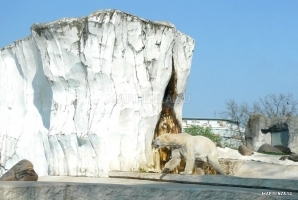 Пензенский зоопарк