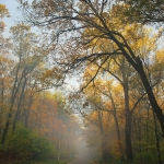 Пенза, Олимпийская аллея, Современные, Профессиональные