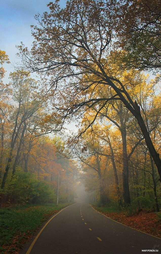 Пенза, Олимпийская аллея, Современные, Профессиональные